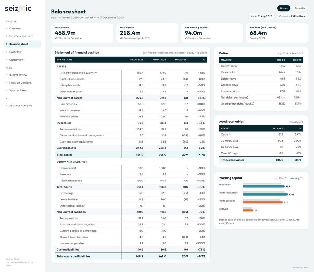 Seizmic balance sheet report in Power BI