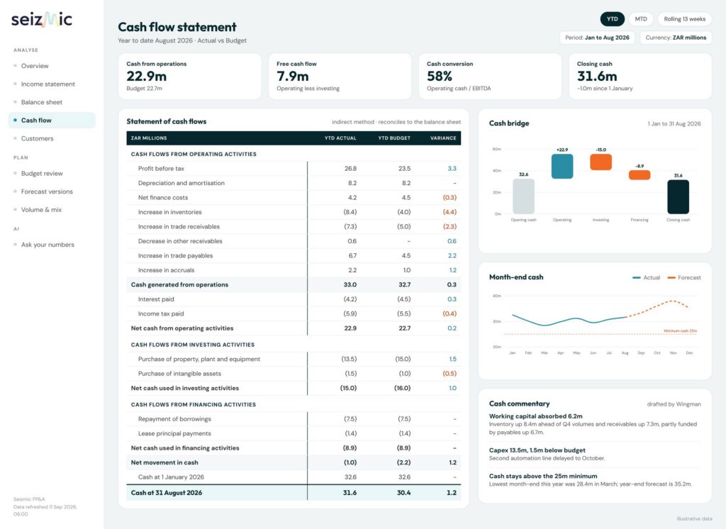 Seizmic cash flow statement report in Power BI